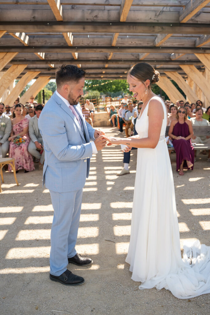 PT Wordpress 393