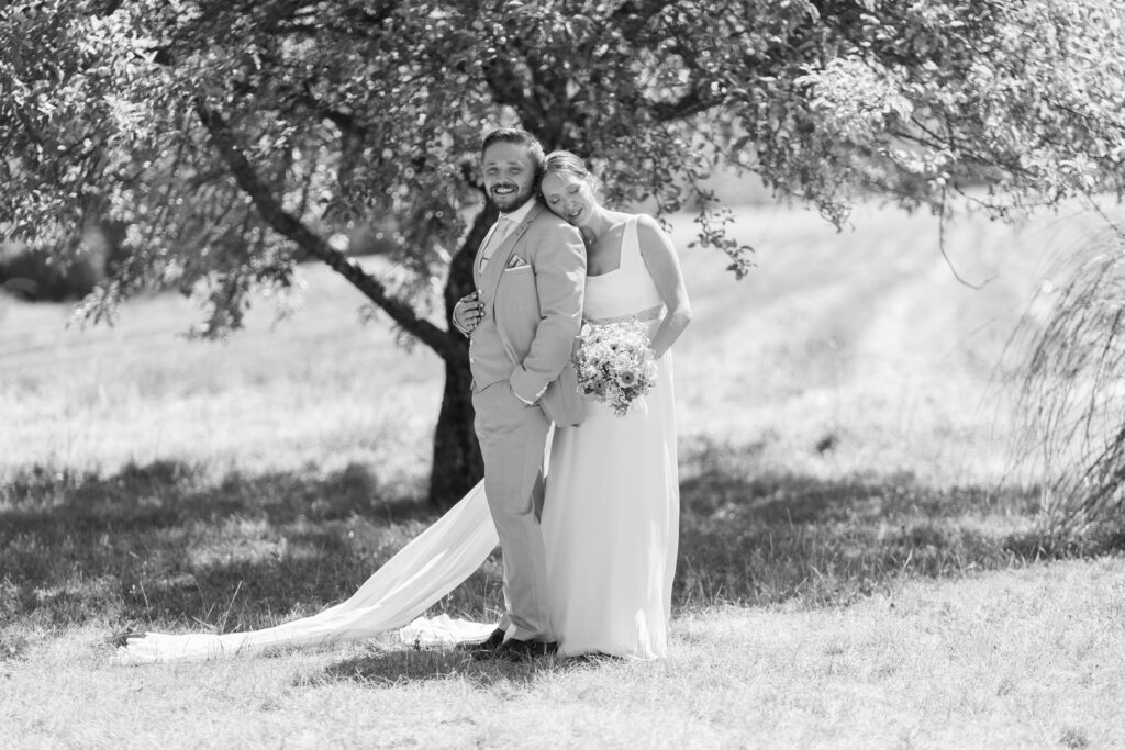 PT Wordpress 937